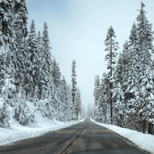 road with snow on trees
