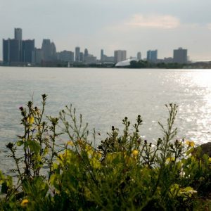 detroit skyline and water