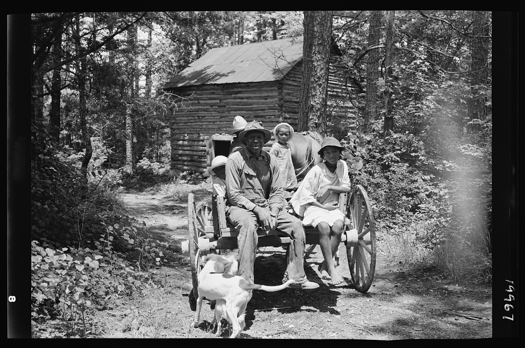 a sharecropper and his children sit on the back off a wagon in front of a cabin, his dog approaches