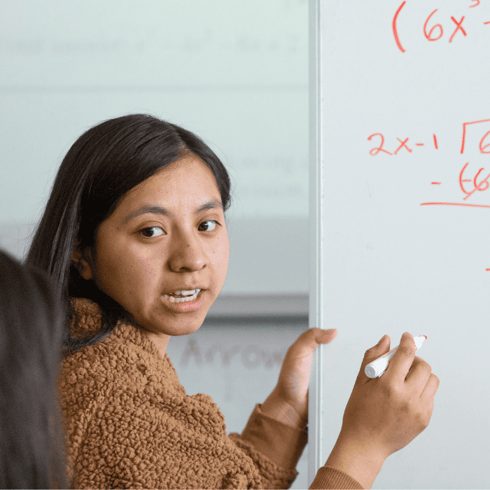 Los Angeles: Bridging Student and Teacher Learning In Math